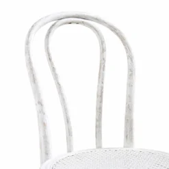 Camille Elm Wood And Rattan Bentwood Dining Chair, Distressed White 20 Camille Elm Wood And Rattan Bentwood Dining Chair, Distressed White -Fame Furni Sales DCH 002 WASHWHITE detail2