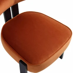 Ophelia Rust Velvet Dining Chair 23 Ophelia Rust Velvet Dining Chair -Fame Furni Sales DCH 2187 RUST VEL detail3