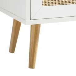 Frances Woven Rattan 2-Door Bathroom Undersink Unit, White -Fame Furni Sales FT UDS 01 WHITE detail4