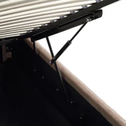 Helia Pleated Ottoman Storage Bed, Taupe Velvet -Fame Furni Sales JAH 012 MINK VEL detail5