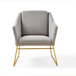 Hedy Accent Chair In Grey Velvet -Fame Furni Sales LKS 007 GREYVEL 1 dc9888c8 49ff 4718 a79f 2ad985d2542a
